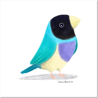 Blue Gouldian Finch Bird Posters and Art